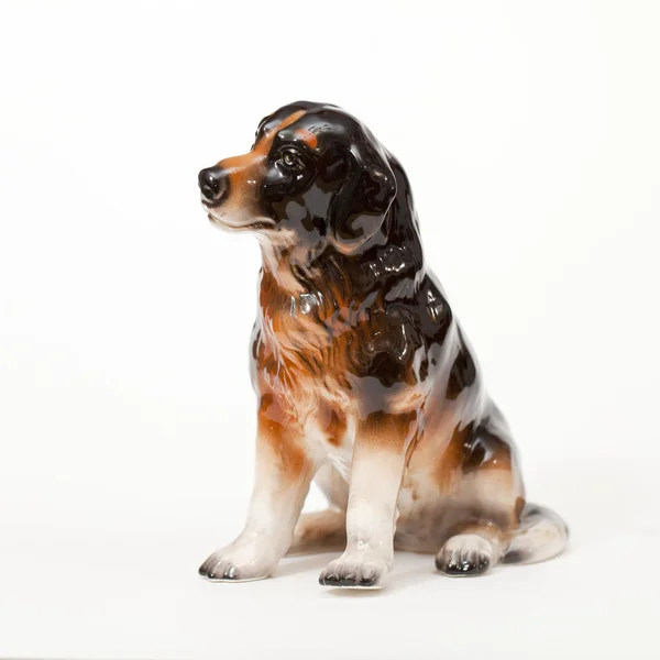 Bernese Mountain Dog, cão de montanha de Bernese — Fotografia de Stock