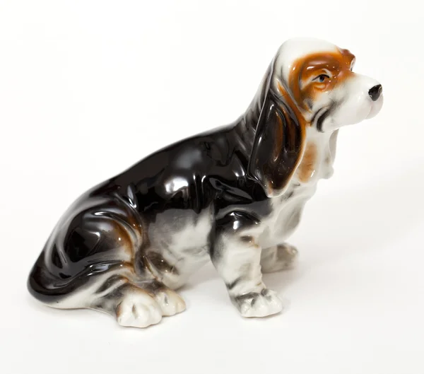 Cachorrinho pequeno dachshund — Fotografia de Stock