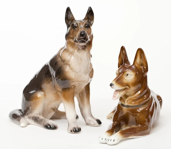 German Shepherds — Stock Photo, Image