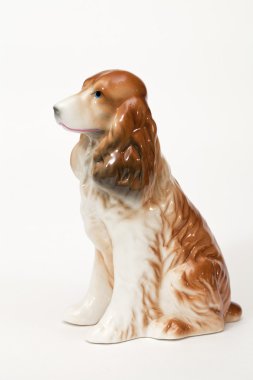 İngiliz cocker spaniel