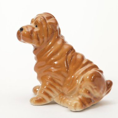 shar pei köpek yavrusu