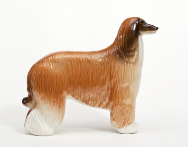 Afgan çoban köpeği