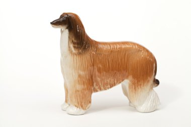 Afgan çoban köpeği