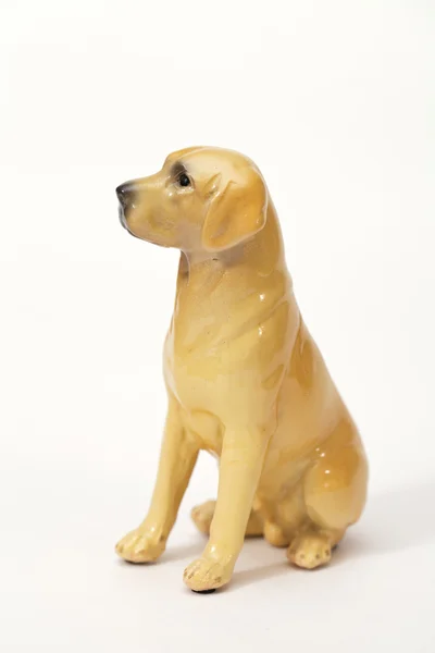 Cachorro Goldador —  Fotos de Stock