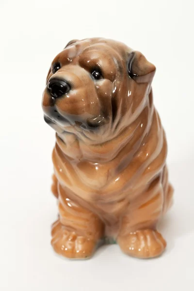 Shar pei valp — Stockfoto