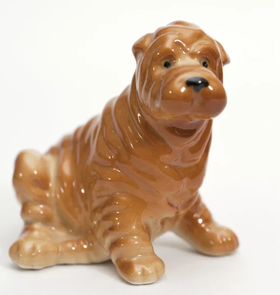 Shar pei 小狗 — 图库照片