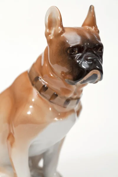 Fransk bulldog — Stockfoto