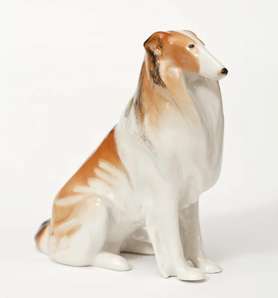 Collie — Stockfoto