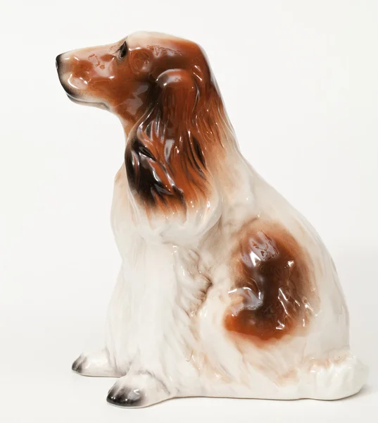 Cocker spaniel — Zdjęcie stockowe