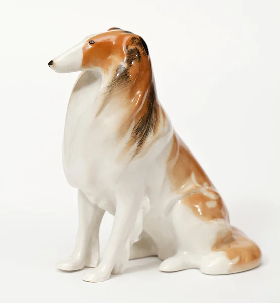 Collie — Stockfoto