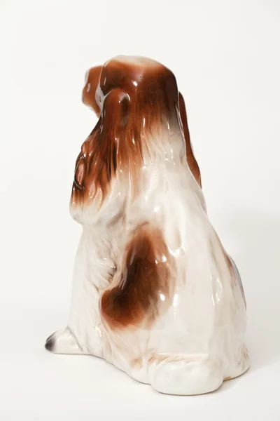 Cocker spaniel — Zdjęcie stockowe