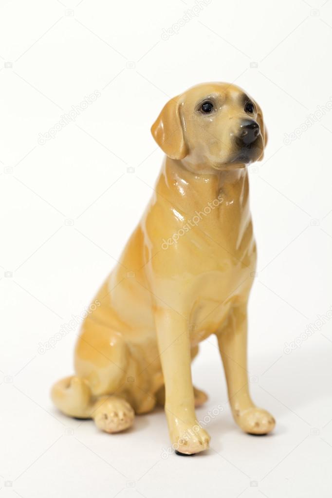 Puppy Goldador