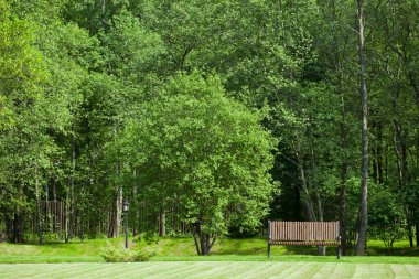 Yeşil çim ve güzel ağaçlar ile bir tezgah