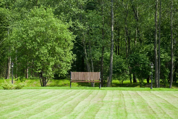 Egy padon, zöld fű és gyönyörű fák — Stock Fotó