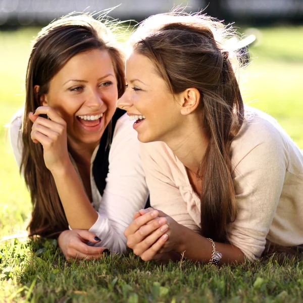 Young beautiful twins of sister lays on green field — Stock Photo, Image