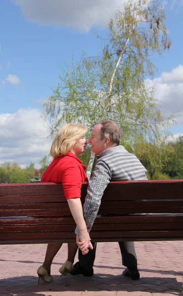 Portrait d'un couple d'âge mûr heureux à l'extérieur — Photo