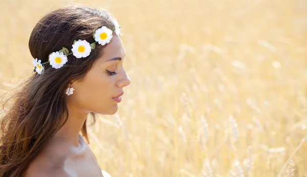 Mujer joven en un campo de trigo dorado —  Fotos de Stock