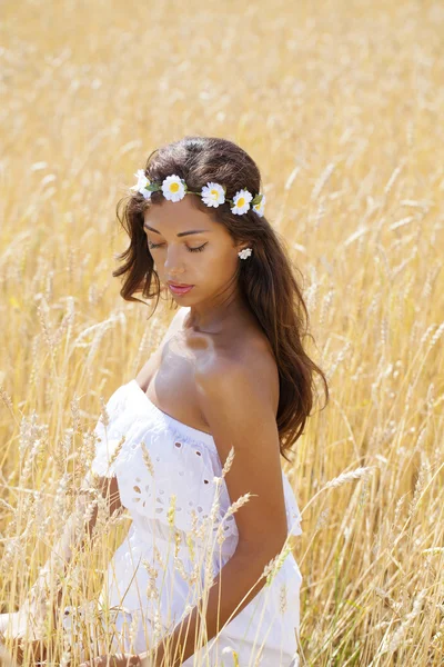 Mujer joven en un campo de trigo dorado —  Fotos de Stock
