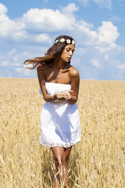 Fiatal nő egy búza arany mezőn — Stock Fotó
