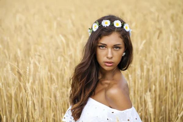 Close up portrait of a beautiful young brunette in a wheat field — Stock Photo, Image