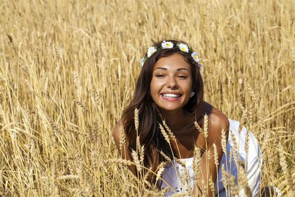 Gros plan portrait d'une belle jeune brune dans un champ de blé — Photo