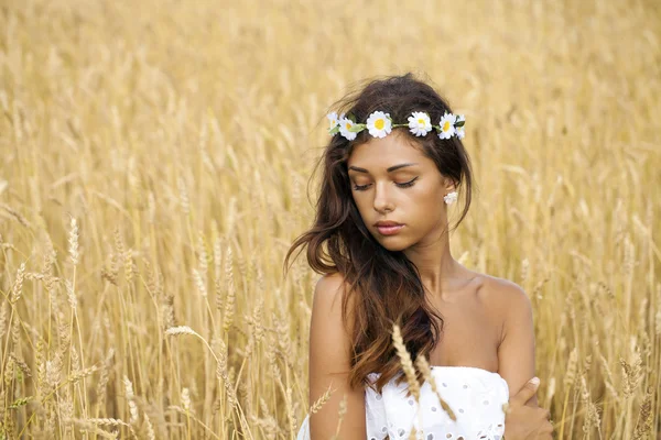 Close up portrait of a beautiful young brunette in a wheat field — Stock Photo, Image