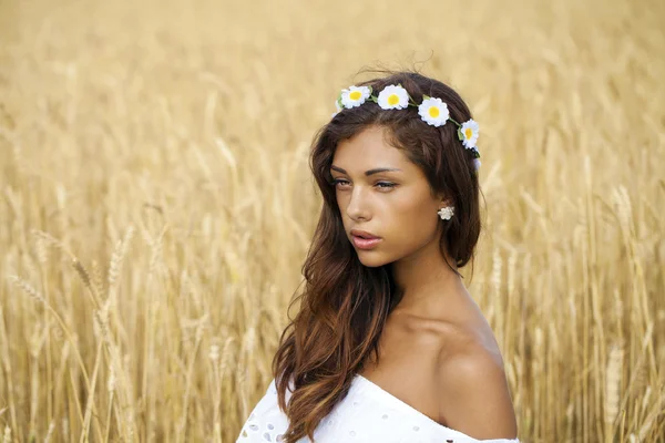 Close up portrait of a beautiful young brunette in a wheat field — Stock Photo, Image