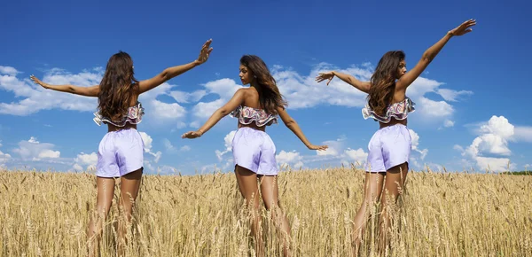 Colagem, Sexy mulheres jovens em shorts azuis em um campo dourado de trigo — Fotografia de Stock