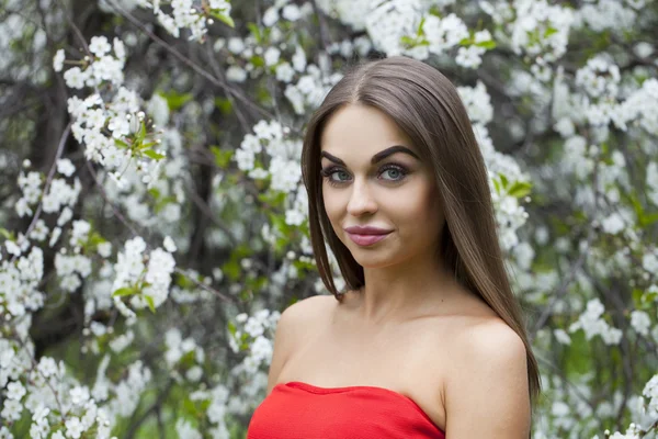 Portrait of a beautiful young girl in red dress on the backgroun — Stock Photo, Image