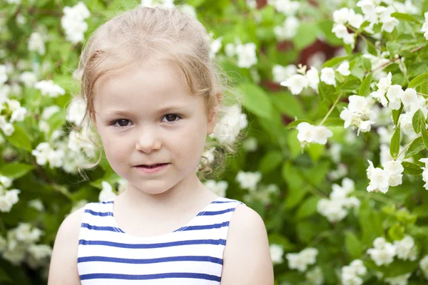 Close up portrait of a six year little girl, against background — Stock Photo, Image