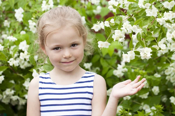 Zblízka portrétní šestiletý holčička, pozadí — Stock fotografie