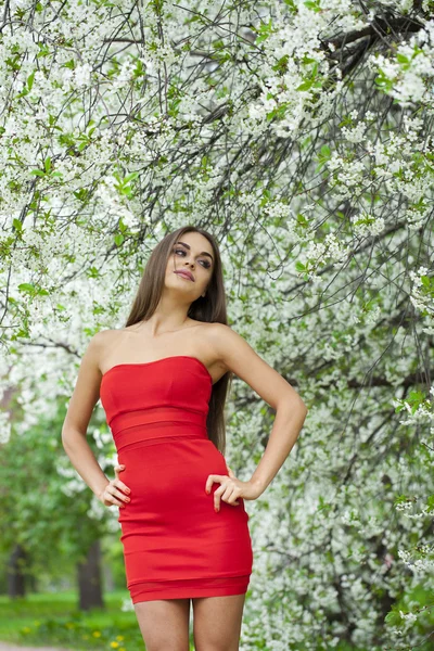 Retrato de uma bela jovem no vestido vermelho no backgroun — Fotografia de Stock