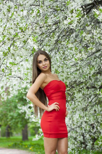 Ritratto di una bella ragazza in abito rosso sul backgroun — Foto Stock