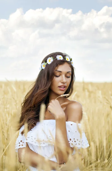 Young woman in a wheat golden field — Stock Photo, Image