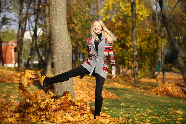 Mujer feliz dejar caer las hojas en el parque de otoño — Foto de Stock