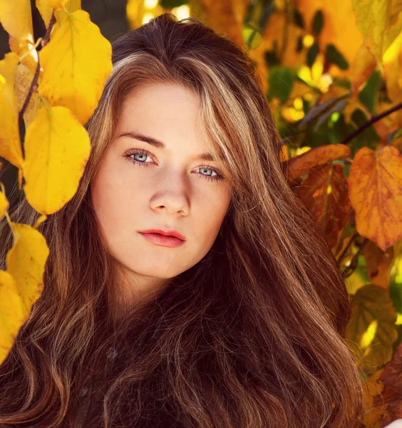 Modelo bonito com folhas de outono e queda backgr jardim amarelo — Fotografia de Stock