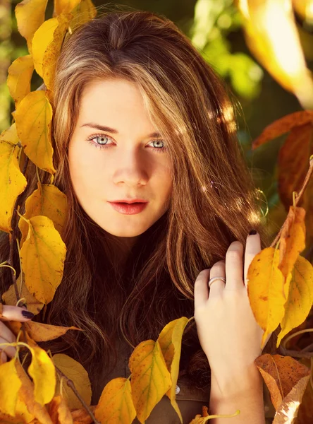 Hermoso modelo con hojas de otoño y otoño amarillo jardín backgr — Foto de Stock