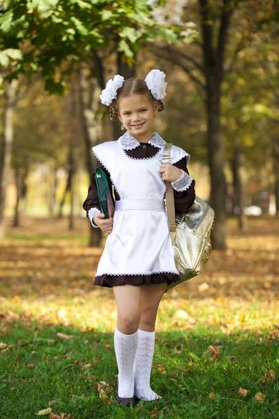 Ritratto di un bel giovane di prima elementare in una scuola festiva u — Foto Stock