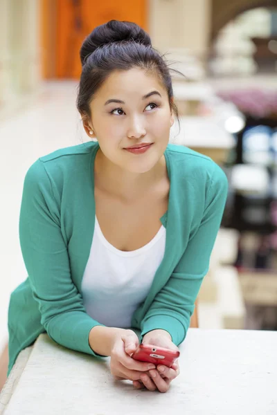 Portrait d'une belle jeune femme faisant du shopping — Photo