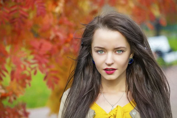 Jonge mooie brunette vrouw poseren buitenshuis in herfst park — Stockfoto