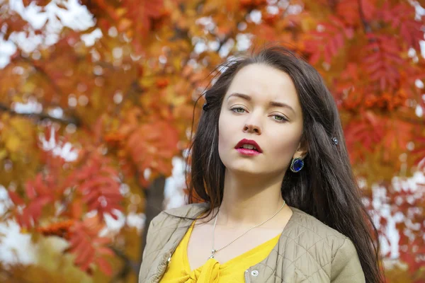 Krásná brunetka mladá pózuje venku v podzimním parku — Stock fotografie