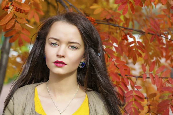 Jonge mooie brunette vrouw poseren buitenshuis in herfst park — Stockfoto