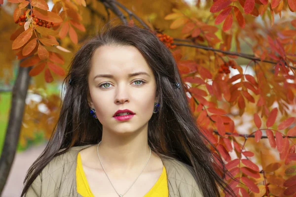 Jonge mooie brunette vrouw poseren buitenshuis in herfst park — Stockfoto