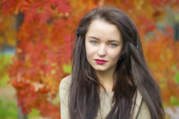 Genç güzel esmer kadın sonbahar park açık havada poz — Stok fotoğraf