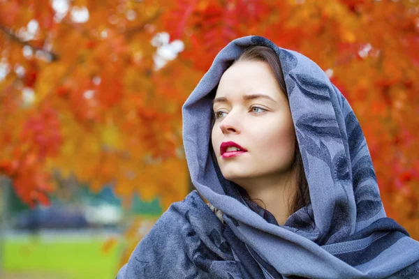 Beauty woman in the national patterned shawl — Stock Photo, Image