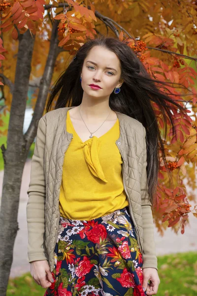 Genç güzel esmer kadın sonbahar park açık havada poz — Stok fotoğraf