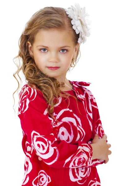 Portrait of a charming little girl looking at camera — Stock Photo, Image