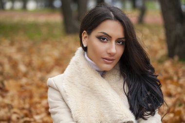 oryantal tarzı. seksi Arap kadın modeli