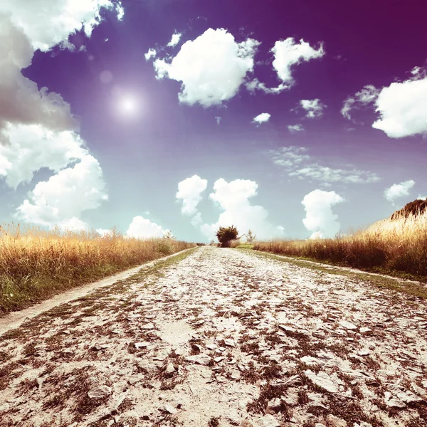 Road in field with ripe yellow wheat — Stock Photo, Image