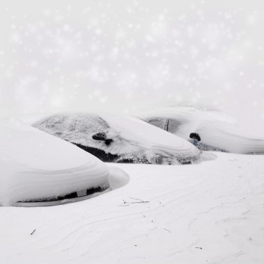 SnowLy kış araba park